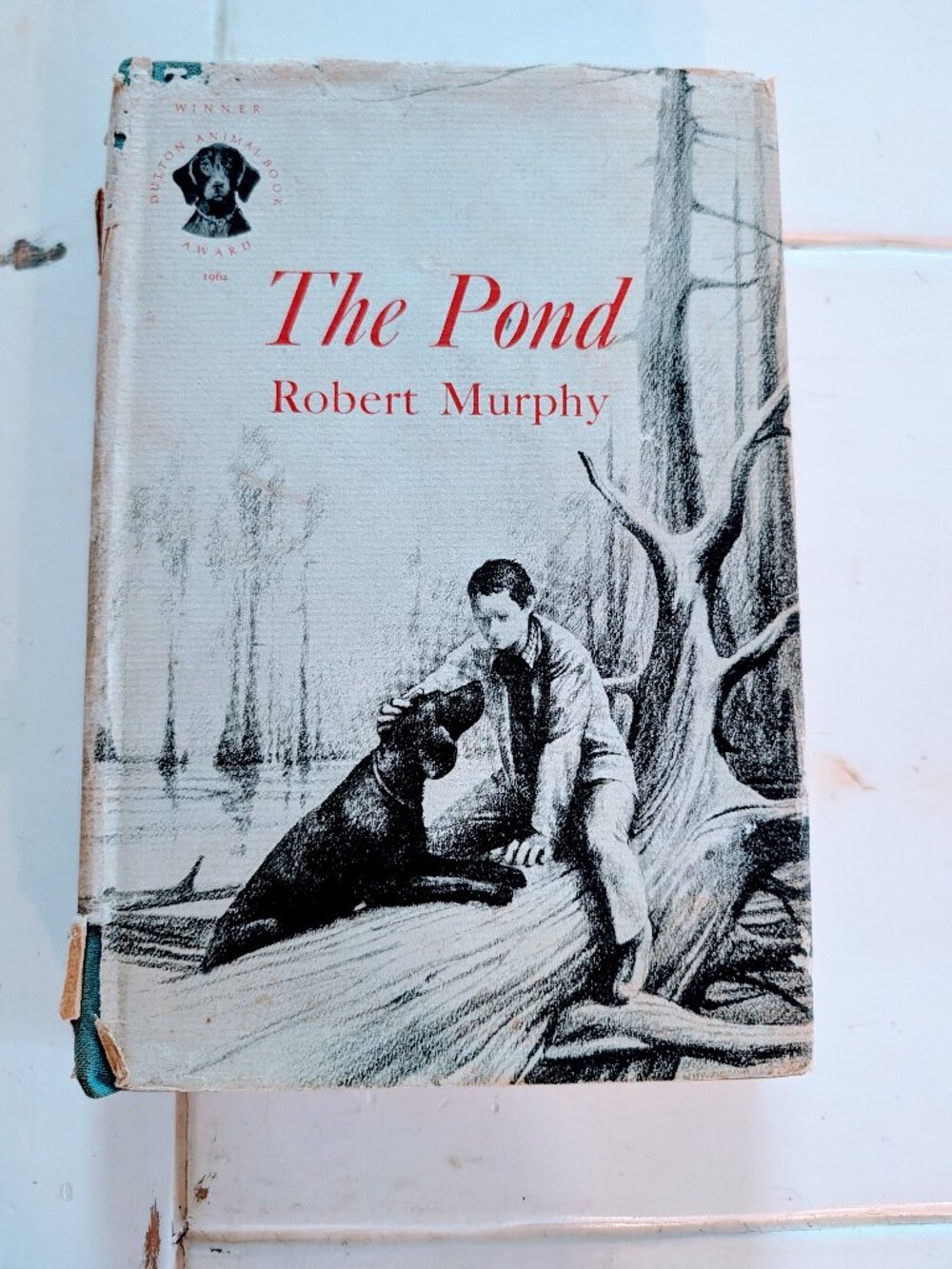 VTG 1964 The Pond by Robert Murphy HC/DJ 1st Ed 3rd Printing Dutton Animal Award